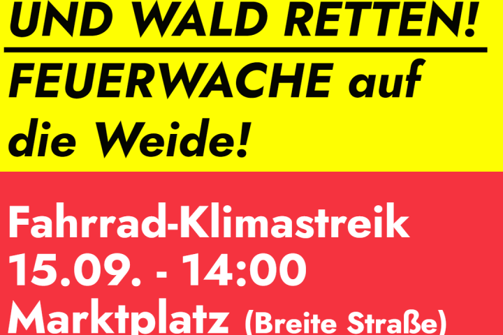 Klimastreik in Buchholz am 15.09.