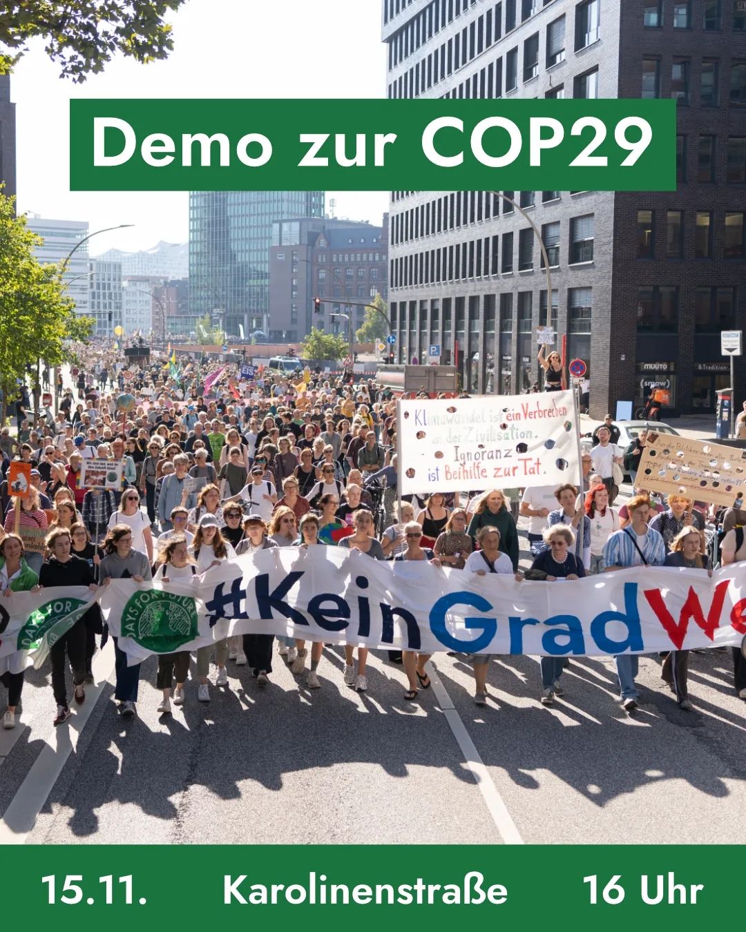 Hamburg: Demo zur COP29