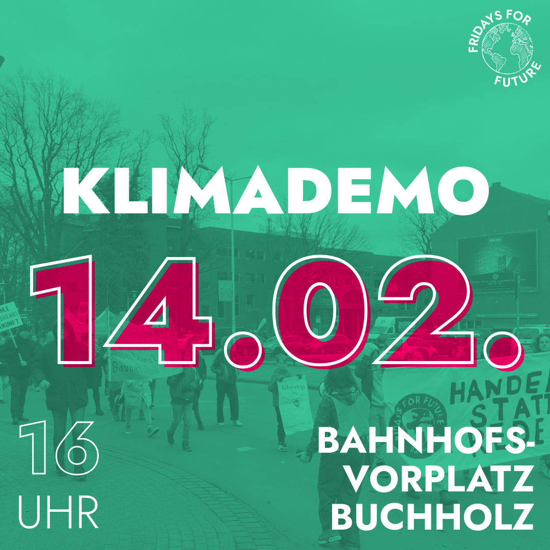 Klimademo in Buchholz